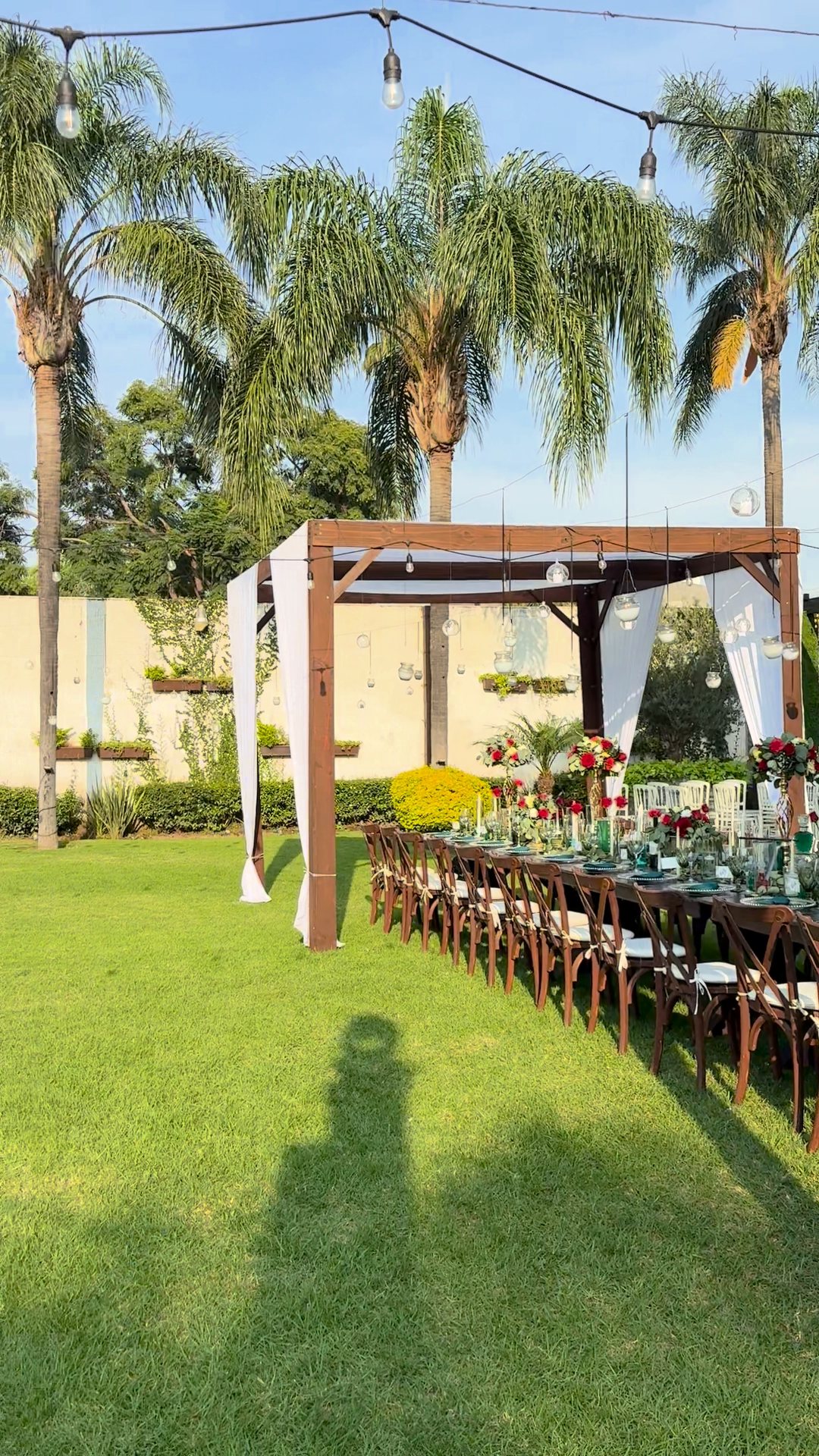Pérgolas enteladas con cortinas blancas sobre una mesa imperial con flor, en un jardín con palmas, Zapopan