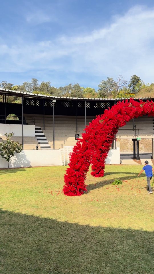 Doble arco de flor roja en el centro de un ruedo al aire libre, Zapopan