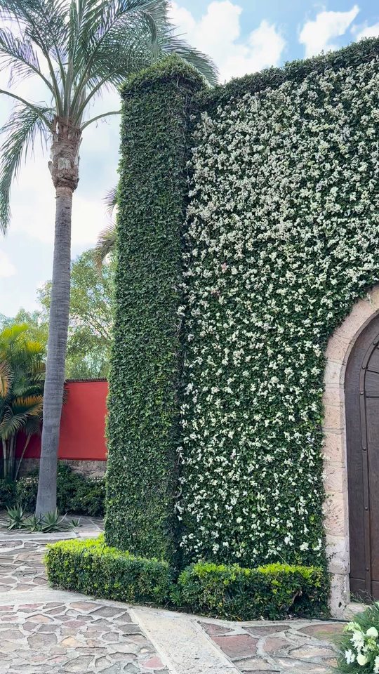 Paneo de una capilla de piedra cubierta por un muro floral de follaje y flor blanca, Zapopan
